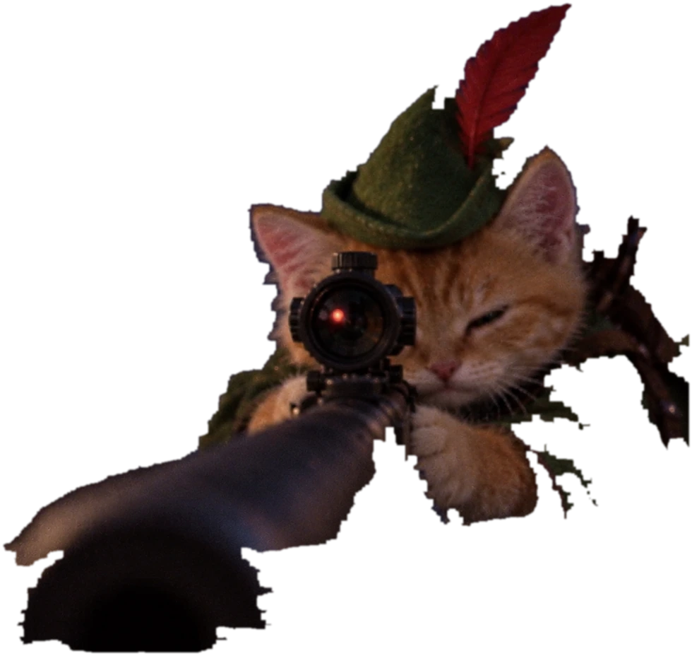 a ginger kitten in a green feathered hood, lying prone behind a scoped rifle on a cold roof