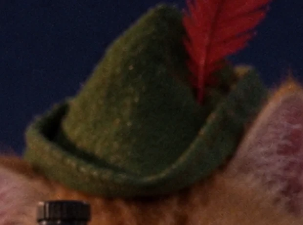 the green felt hood with a red feather, worn straight, never adjusted
